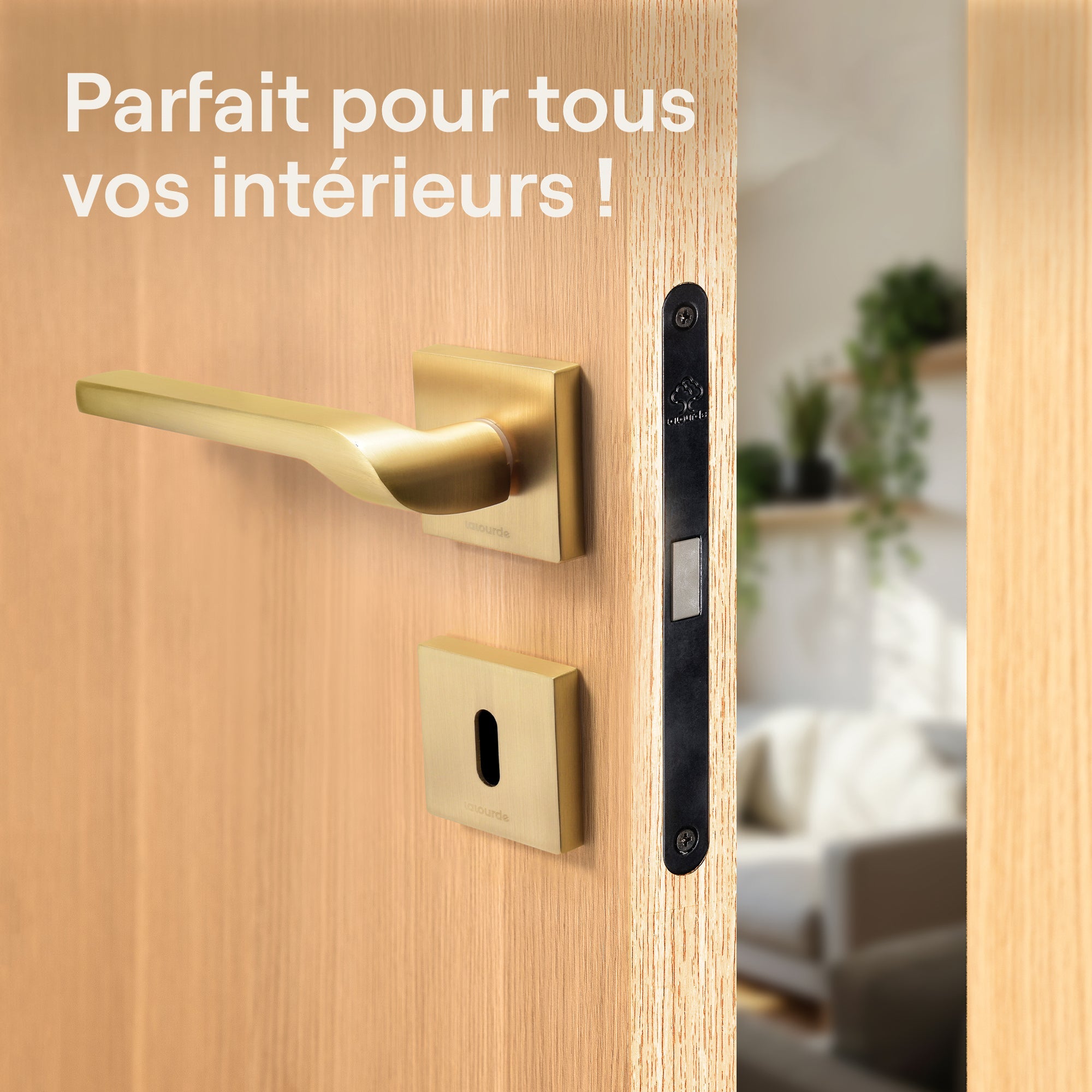 Poignée de porte Atlas - Aluminium